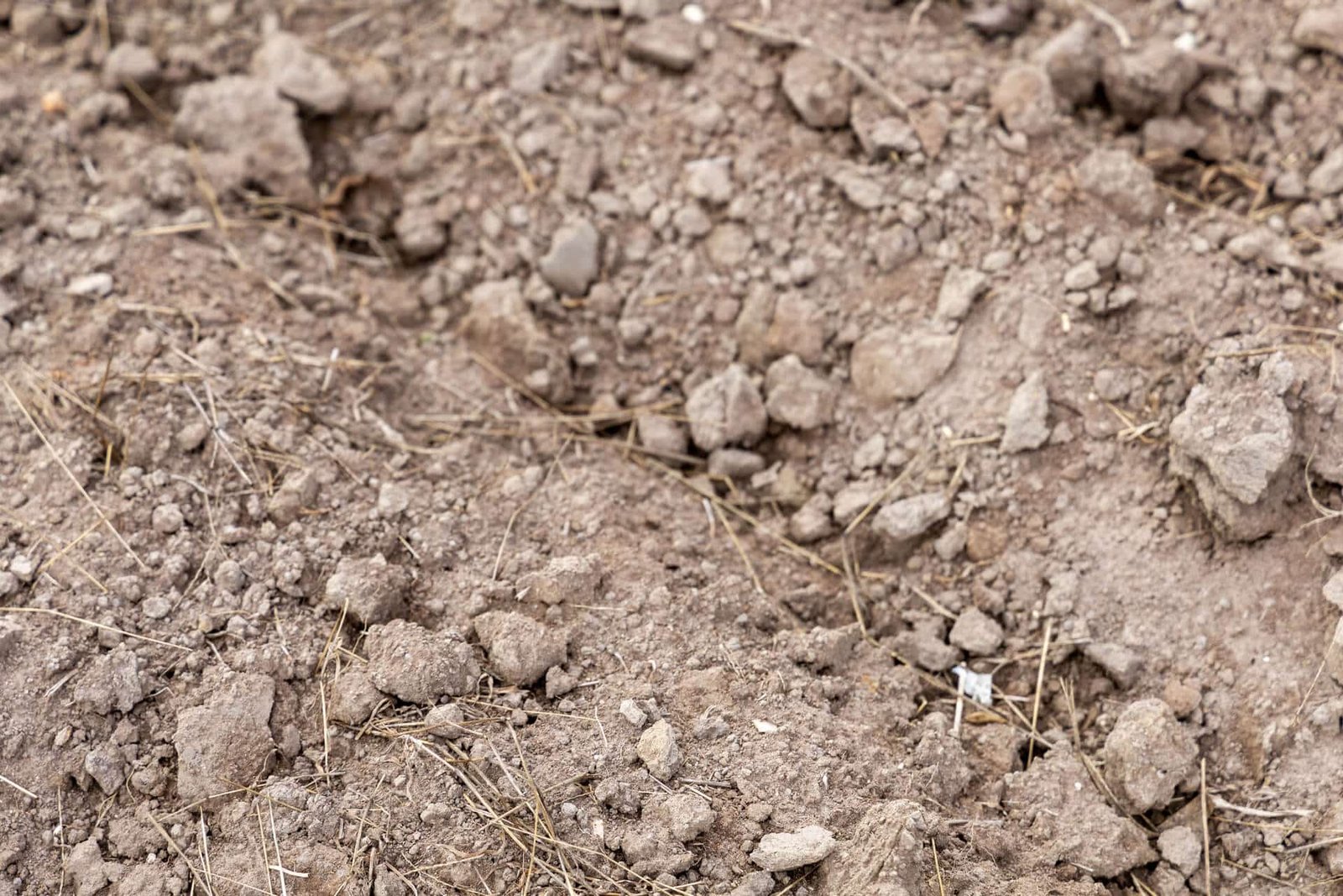 Heroe De Blog 002 En Nutricion Vegetal